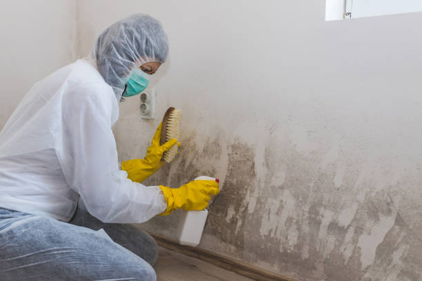 Best Mold Cleaning Services  in Brandermill, VA