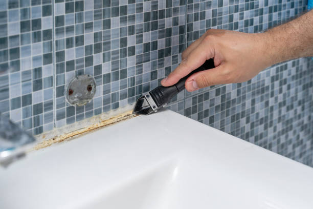Brandermill, VA Mold Removal Company