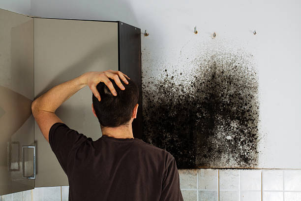 Best Residential Mold Removal  in Brandermill, VA